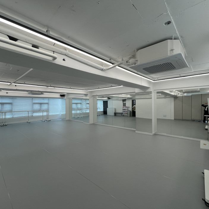 전문무용수 직업능력개발원